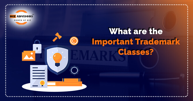 What are the Important Trademark Classes?