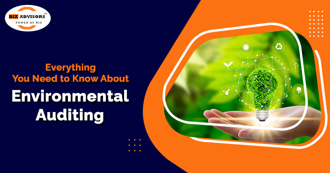 Everything You Need to Know About Environmental Auditing