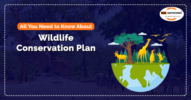 All You Need to Know About Wildlife Conservation Plan