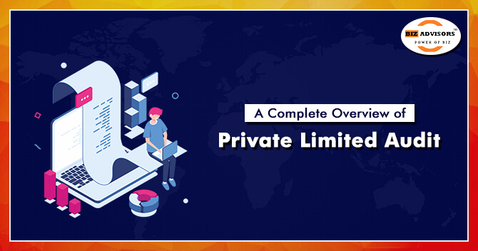 Private Limited Company Audit 