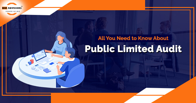 Public Limited Company Audit 
